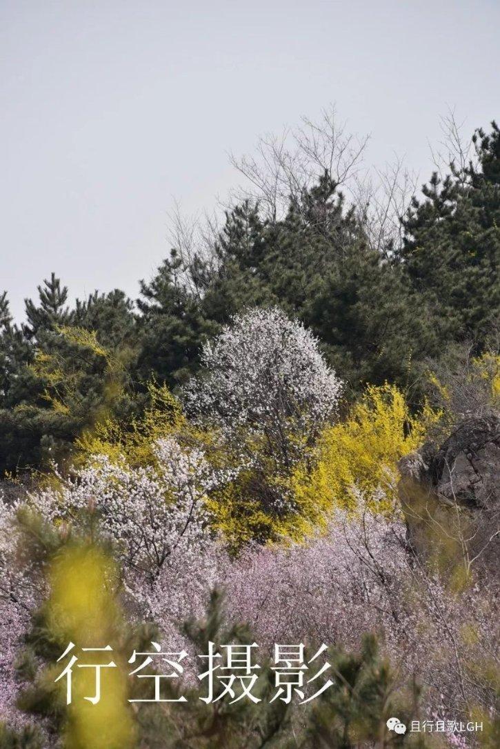秘密基地找不同