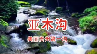 悠梦YuME