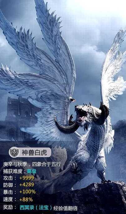 什么是共济失调?