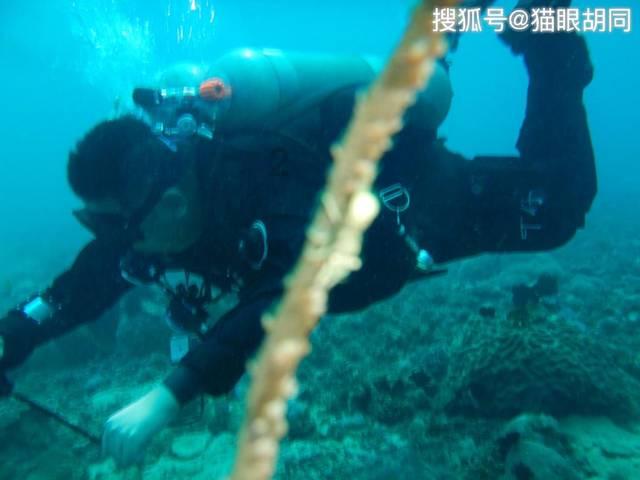 玖玖环保小达人