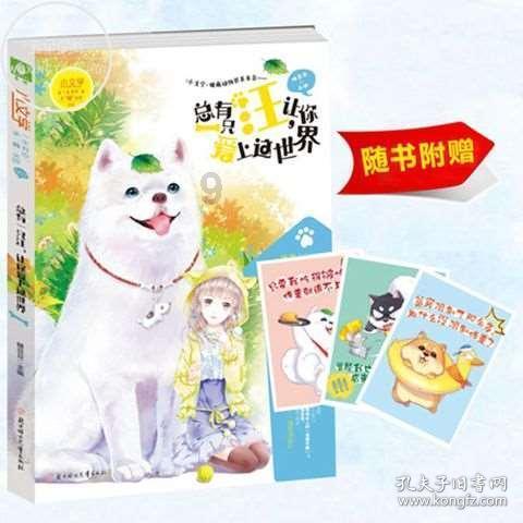 回顾:五年花光千万遗产,富二代成流浪汉的郑六三,终日与狗为伴