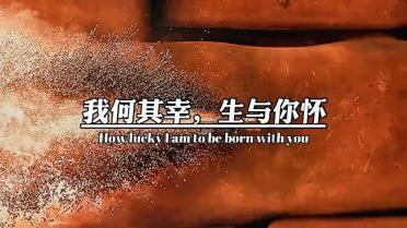 空闲农场