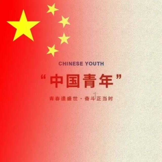 救援受困的小野猫