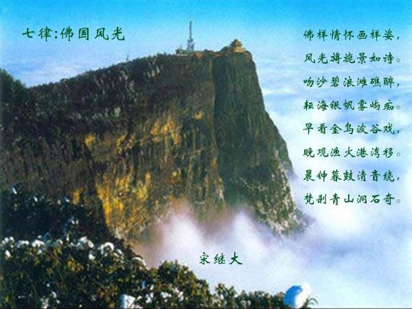 观察者
