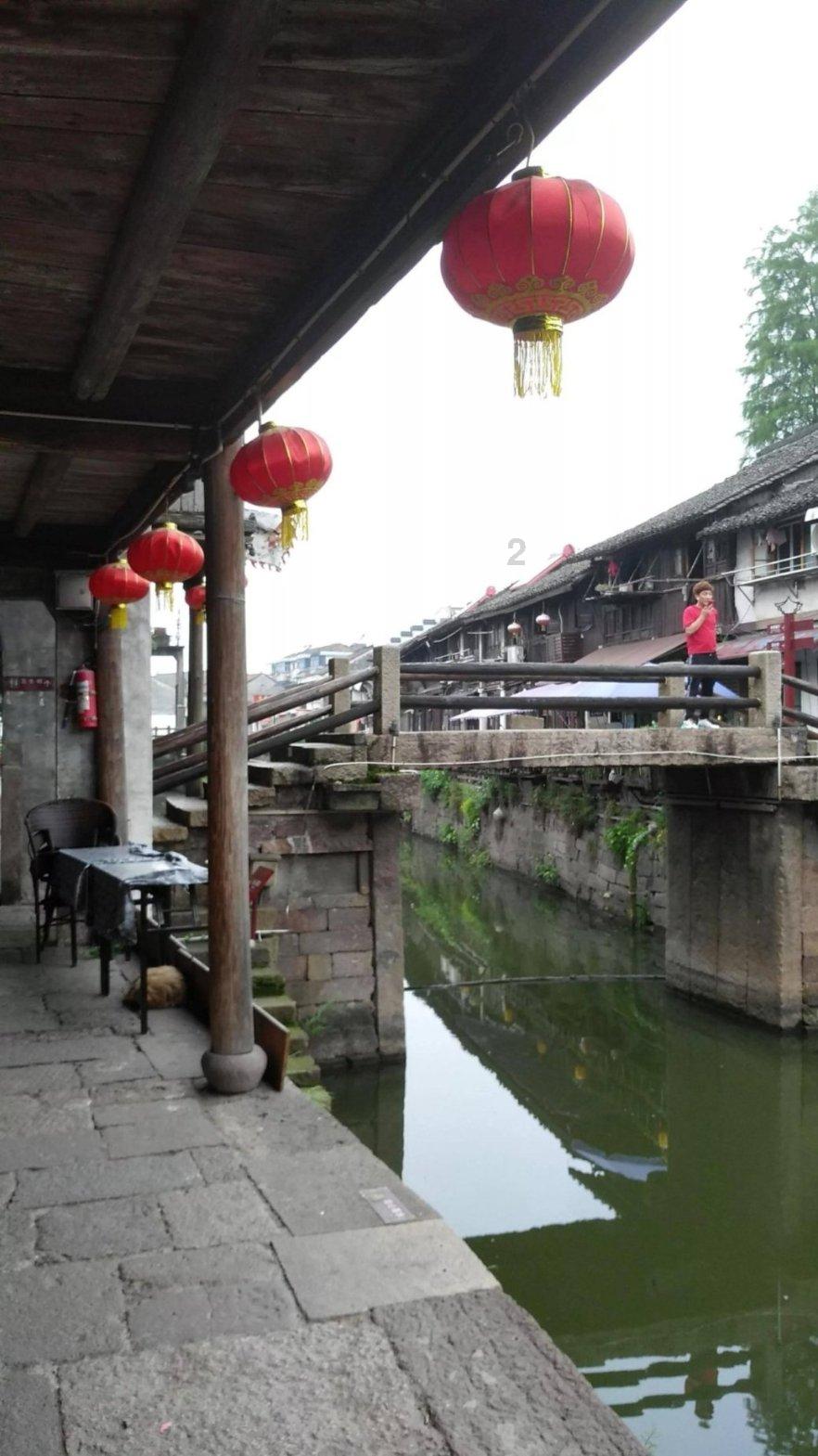 雨后盛放